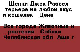 Щенки Джек Рассел терьера на любой вкус и кошелек › Цена ­ 13 000 - Все города Животные и растения » Собаки   . Челябинская обл.,Аша г.